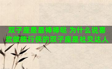 双子座是最棒棒哒 为什么说喜欢做独行侠的双子座是社交达人
